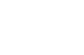Roti Moli B2B Logo